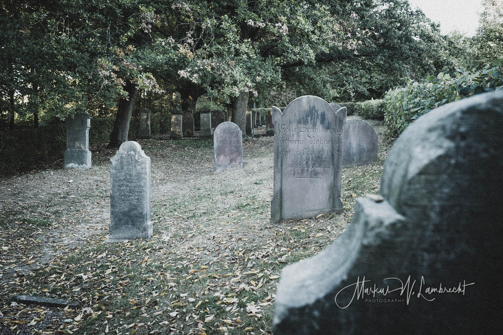 Vörden (Marienmünster), Jüdischer Friedhof